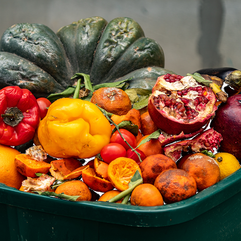 5 Top Emerging Food Waste Management Solutions - vrogue.co