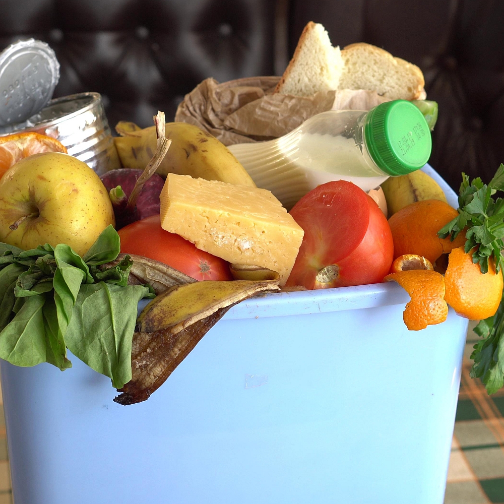 Solutions for Grocery Waste – Link Retail